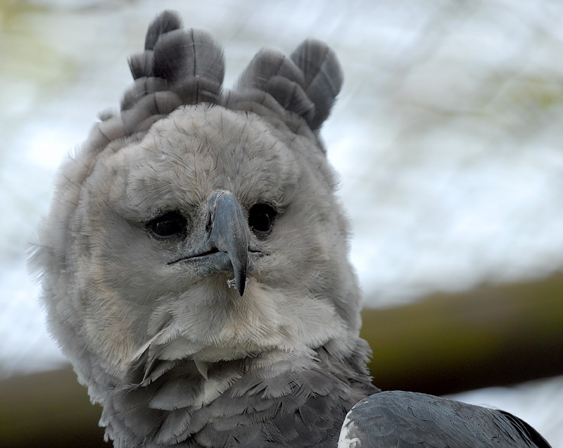 2505 Tiere DDD_3487 Kopie.jpg